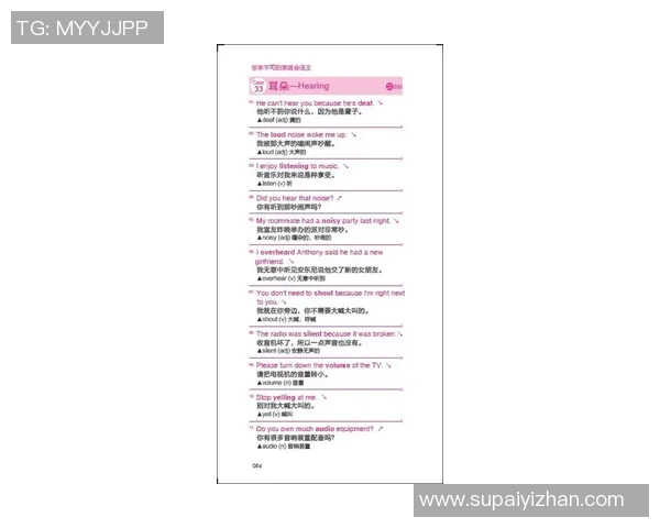 临时性外语标识系统的构建与应用探索涵盖日语阿拉伯语等非官方语言